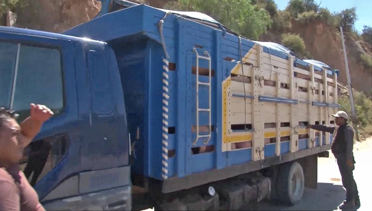 Bloqueo en Parotani: Choferes denuncian que los animales transportados sufren con calor extremo en la carretera