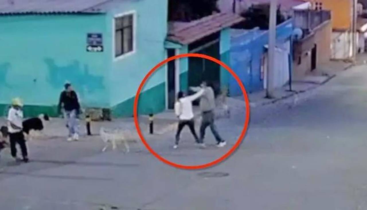 Video: Mujer es agredida con un machete por defender a perros a los que un hombre amenazaba