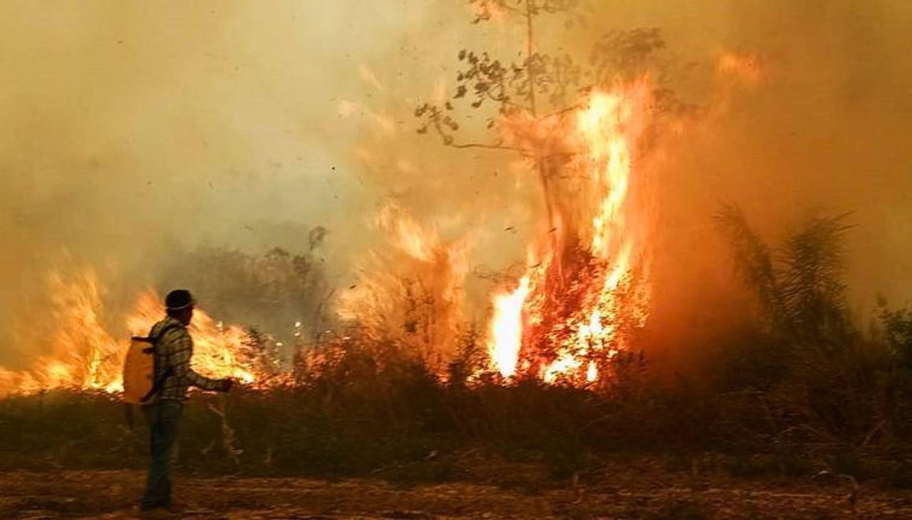 El 66 % de los incendios forestales en Bolivia fueron “malintencionados”, según estudio