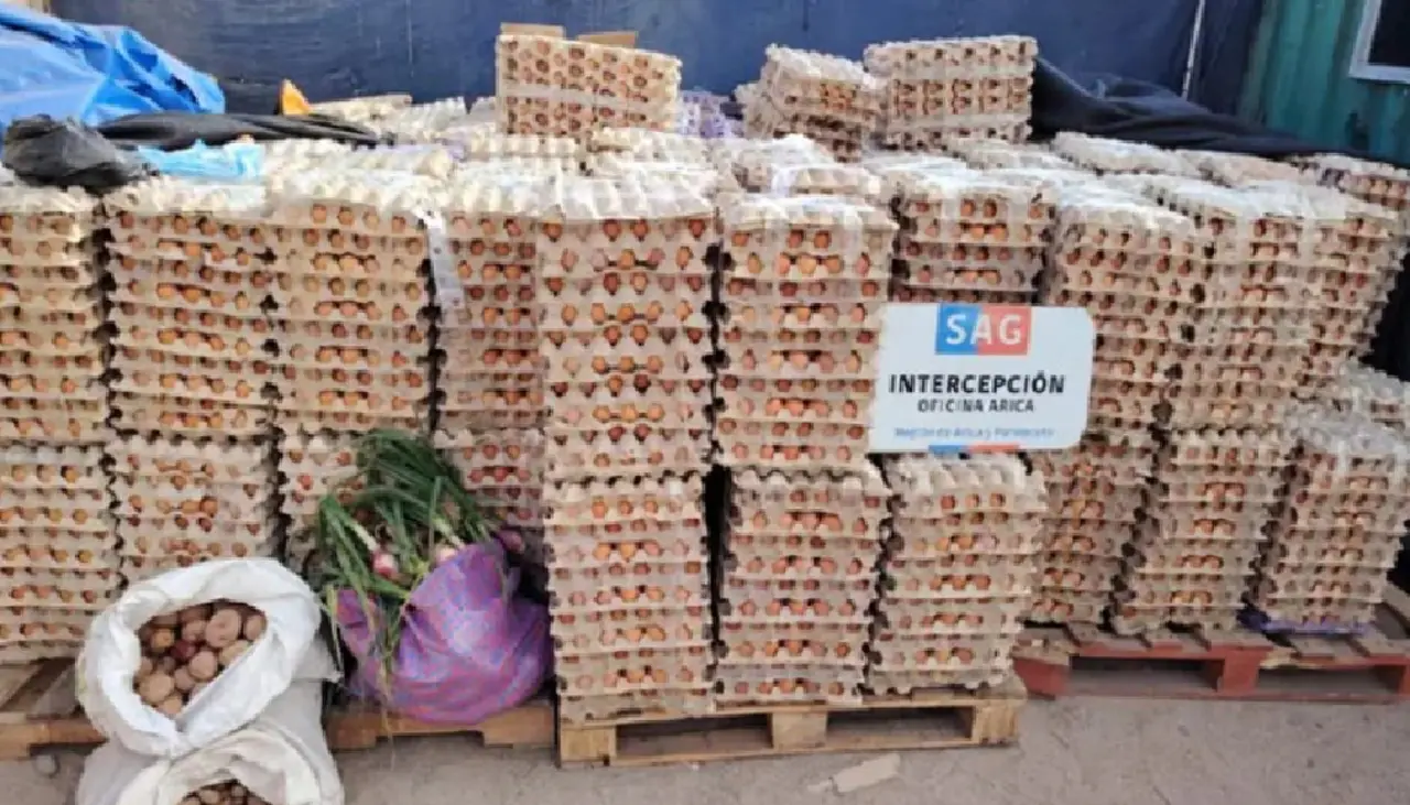 Chile reporta el decomiso de 1 millón de huevos de contrabando que salieron de Bolivia entre enero y junio