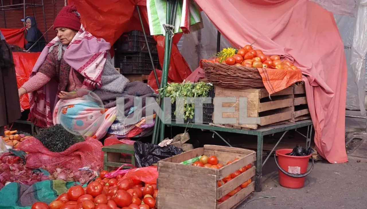 Tras diez días de bloqueos, las verduras escasean y el precio se eleva en los mercados del eje troncal