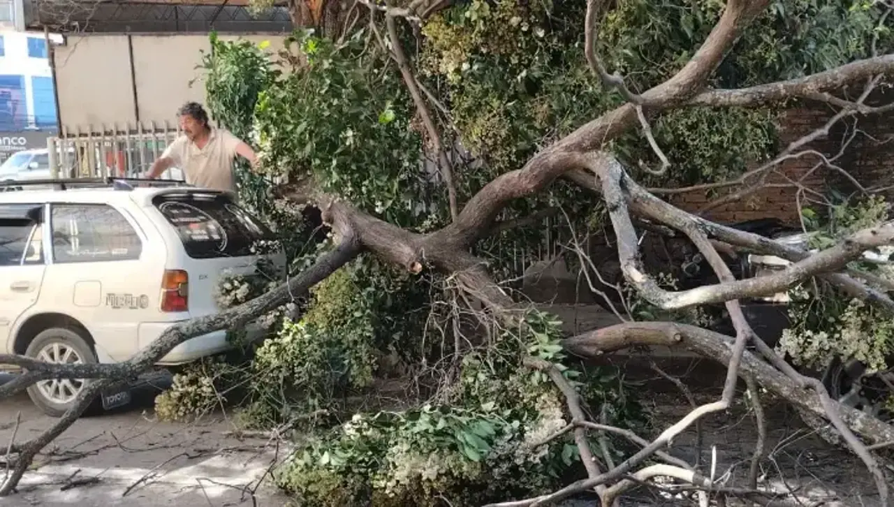 ¡Precaución! Rige alerta roja en Santa Cruz por fuertes ráfagas de hasta 120 km/hora