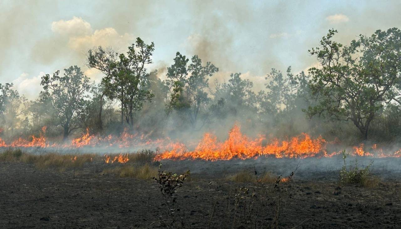 Santa Cruz: Pese a las lluvias, hay 59 incendios activos en 22 municipios, reporta la Gobernación