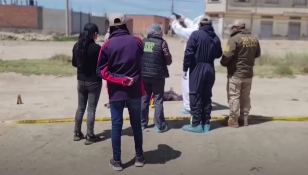 Hombre muere atacado por perros tras presunta pelea con su dueño en Oruro