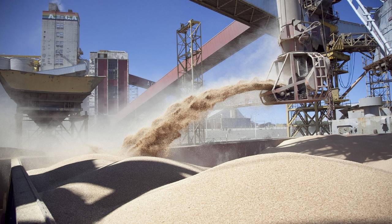 Industrias oleaginosas dejan de exportar $us 350 millones ante la caída en la producción de soya