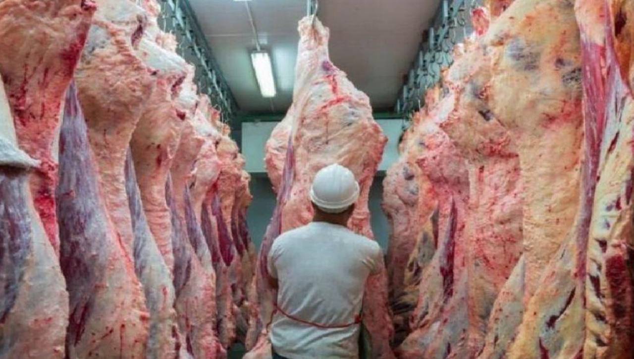 Ganaderos temen no cumplir los contratos de exportación ante la afectación por bloqueos