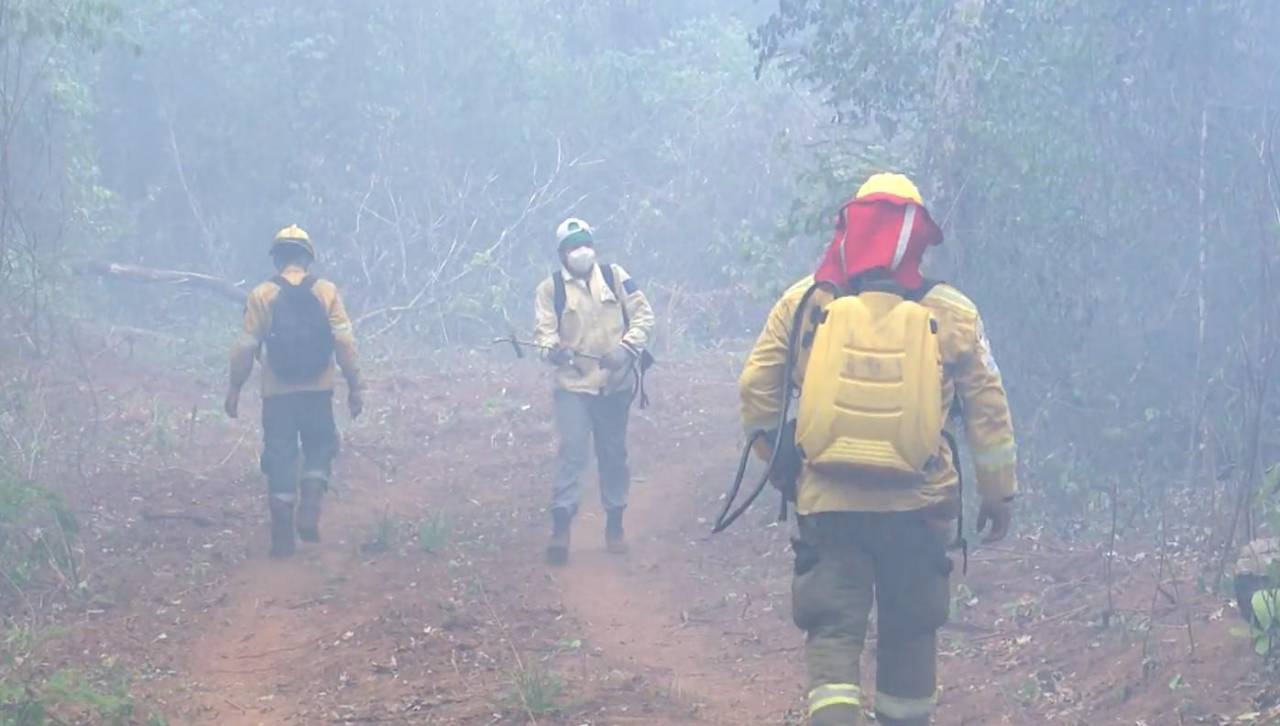 Persiste amenaza del fuego a dos comunidades en Roboré y bomberos lamentan que luchan solo con “machete y palas”