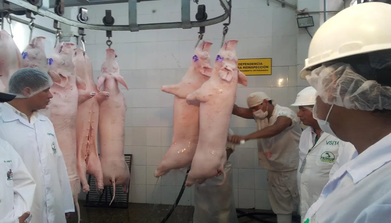 Bolivia apunta a exportar carne de cerdo y de pollo al mercado chino