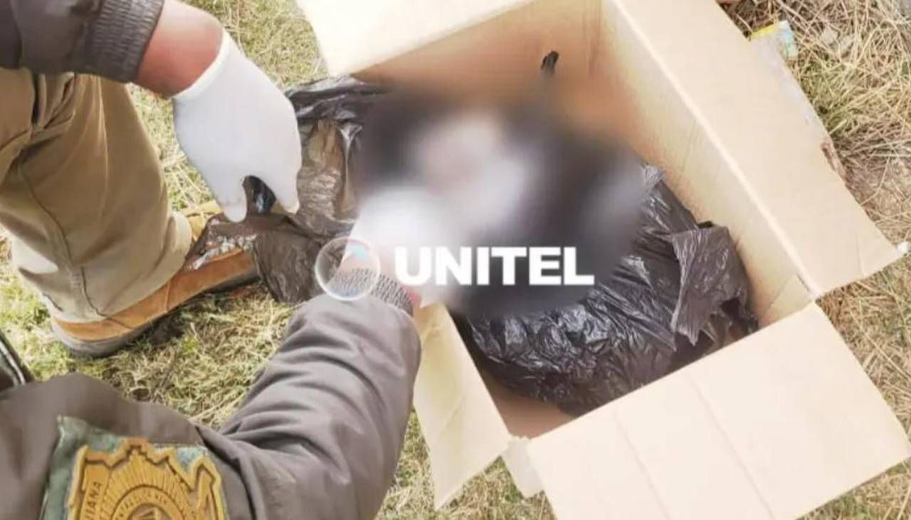 “Aún estaba con vida”: Autopsia revela que la bebé hallada en una bolsa murió por hipotermia, reporta Policía 