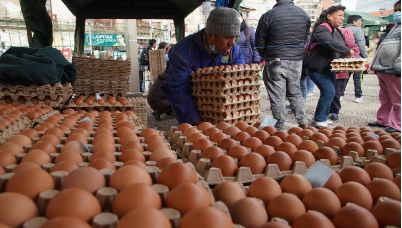 Santa Cruz produce el 60% de los 2.700 millones de huevos que se dan cada año en Bolivia, según ADA