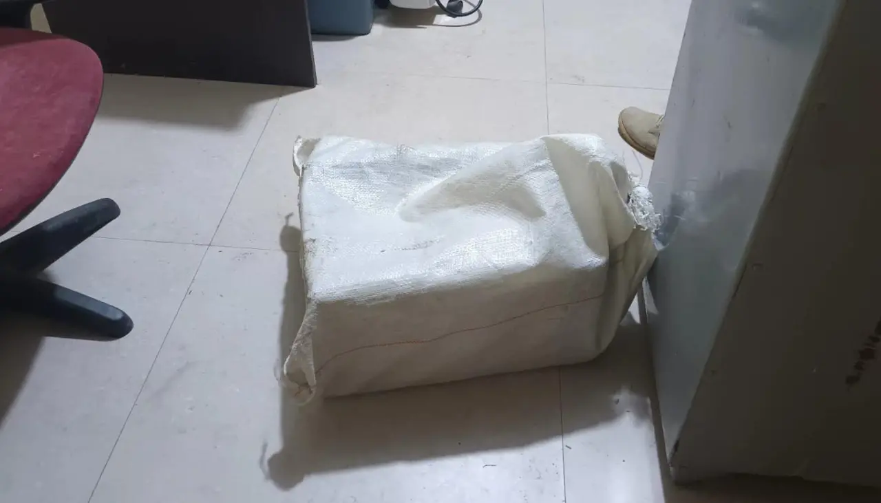 Investigan biocidio tras hallar a un gato muerto dentro de una encomienda que fue enviada de Cochabamba a Oruro
