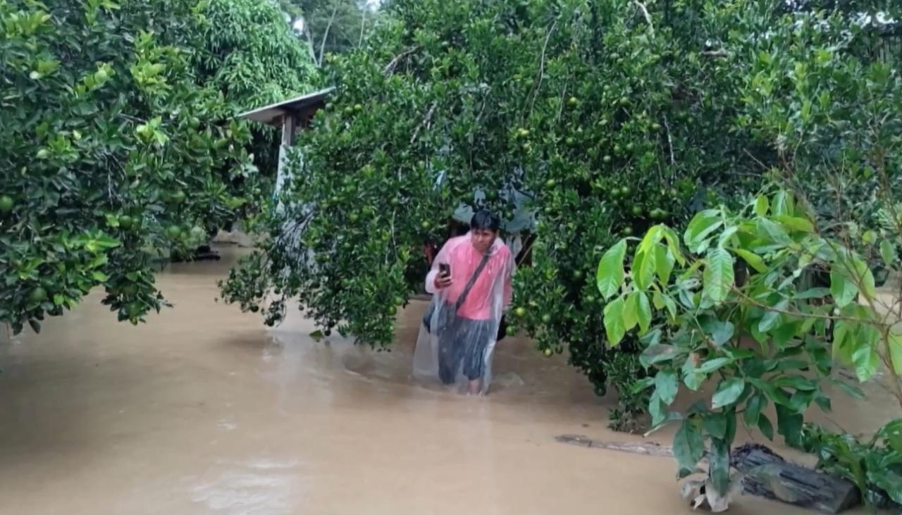 Más de 200 comunidades y 11.000 hectáreas de cultivos del trópico están afectados por las lluvias