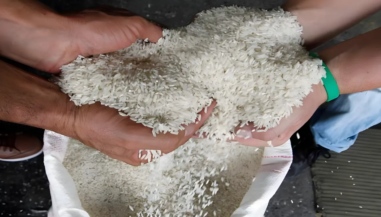La importación de arroz es poco viable por la logística y la falta de dólares, advierten productores
