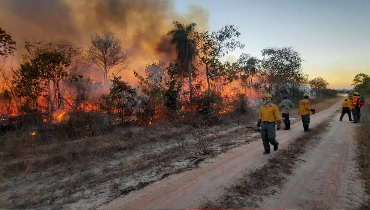 30 incendios acechan a comunidades y a la biodiversidad de diferentes regiones de Santa Cruz