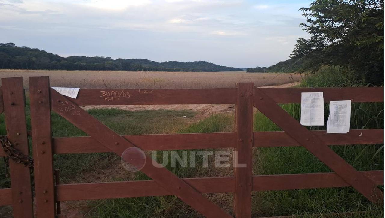 Allanan predio ‘Adán y Eva’ en investigación contra la familia de Luis Arce