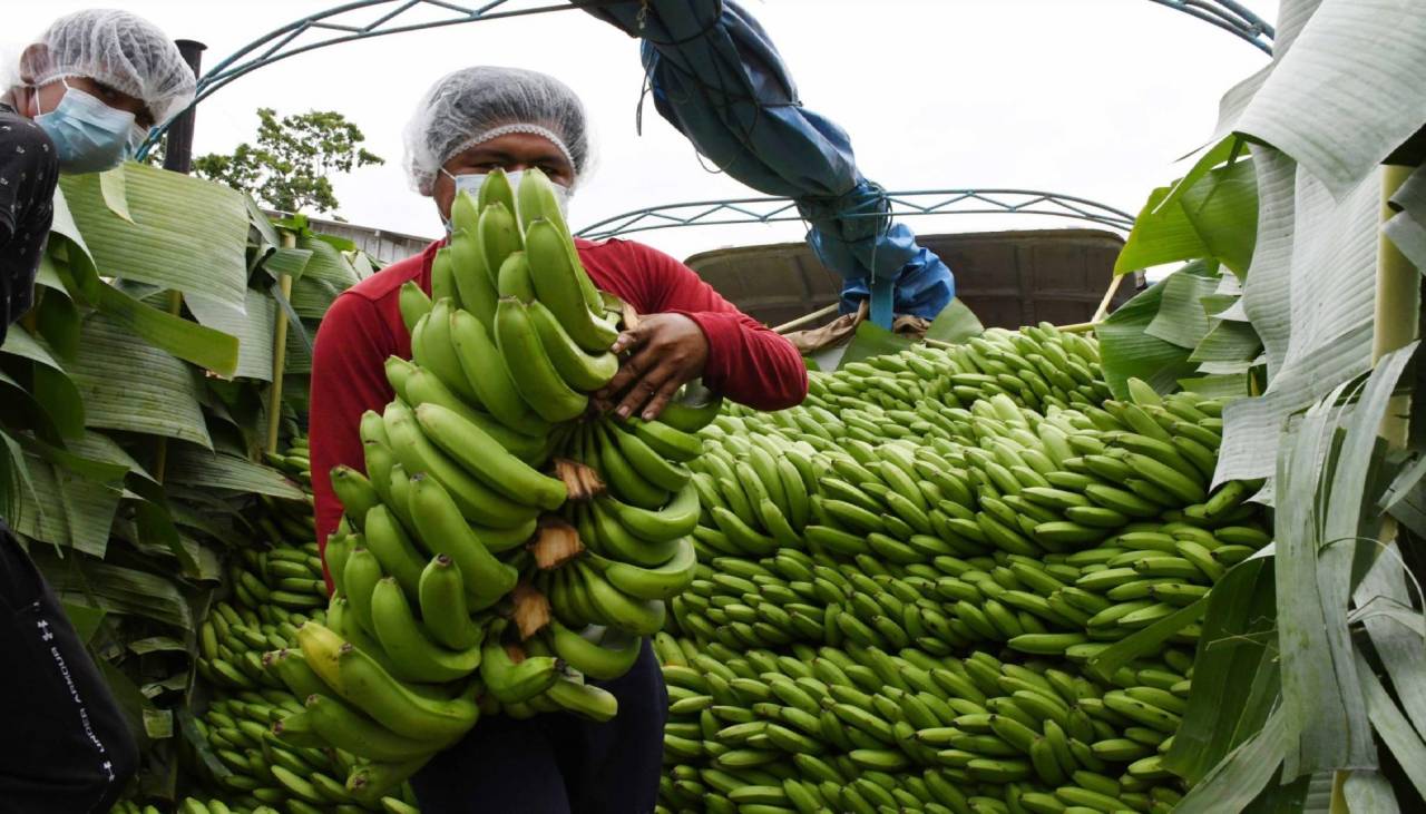 Entre enero y noviembre, exportaciones bolivianas se desplomaron en más de $us 1.900 millones, según el INE