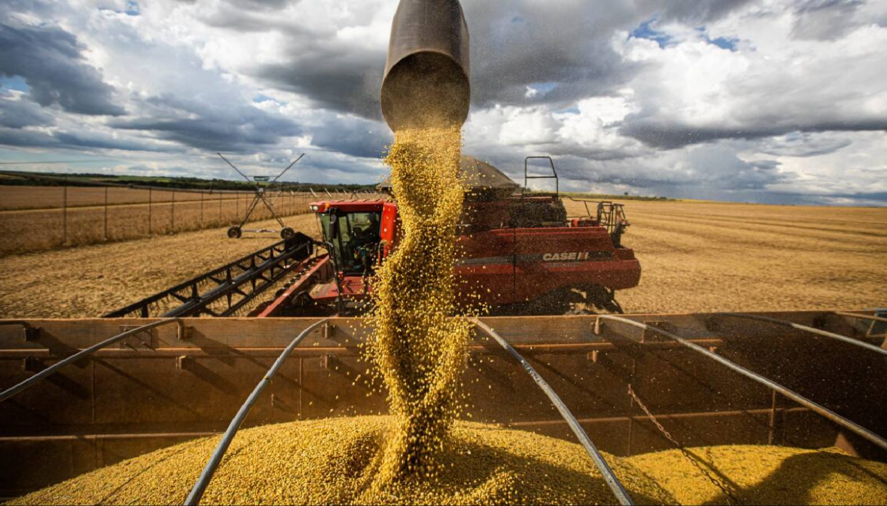 Cae en más de $us 520 millones la exportación de soya y sus derivados al tercer trimestre del año, según el INE