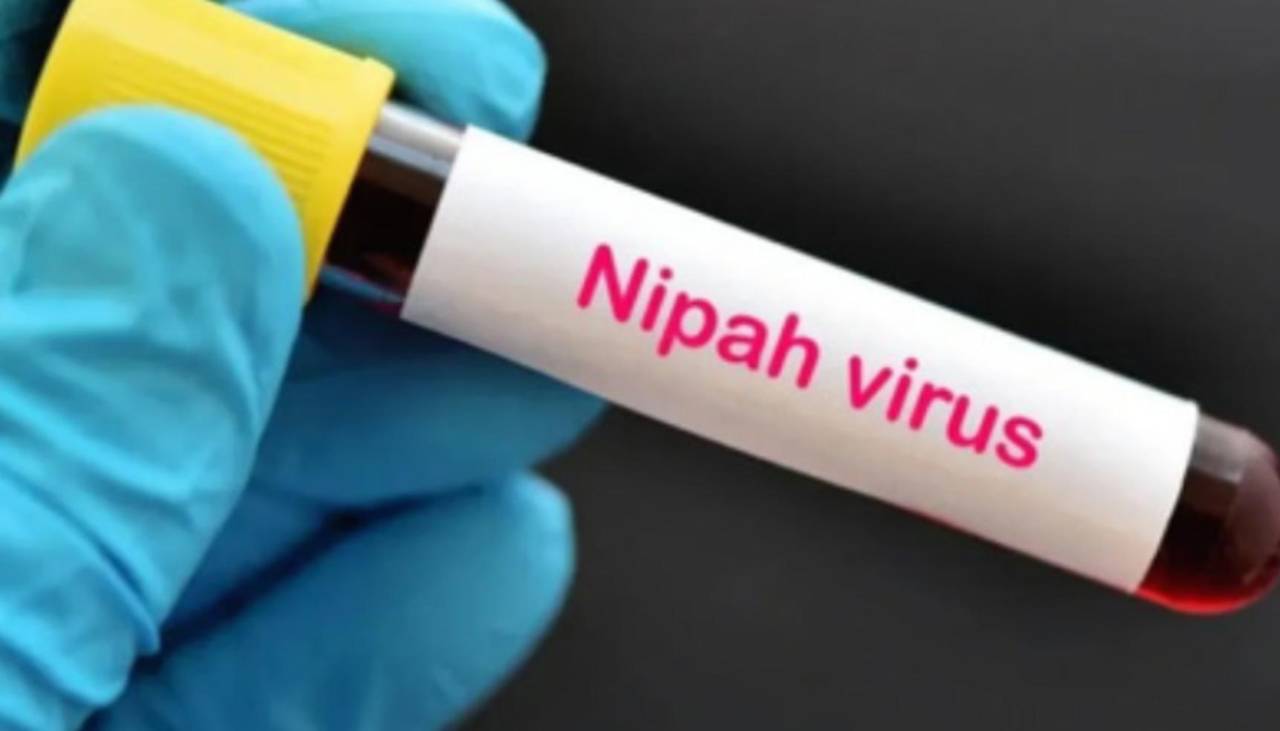 La India rebaja la alarma por el virus Nipah y confirma 196 pruebas negativas de contactos