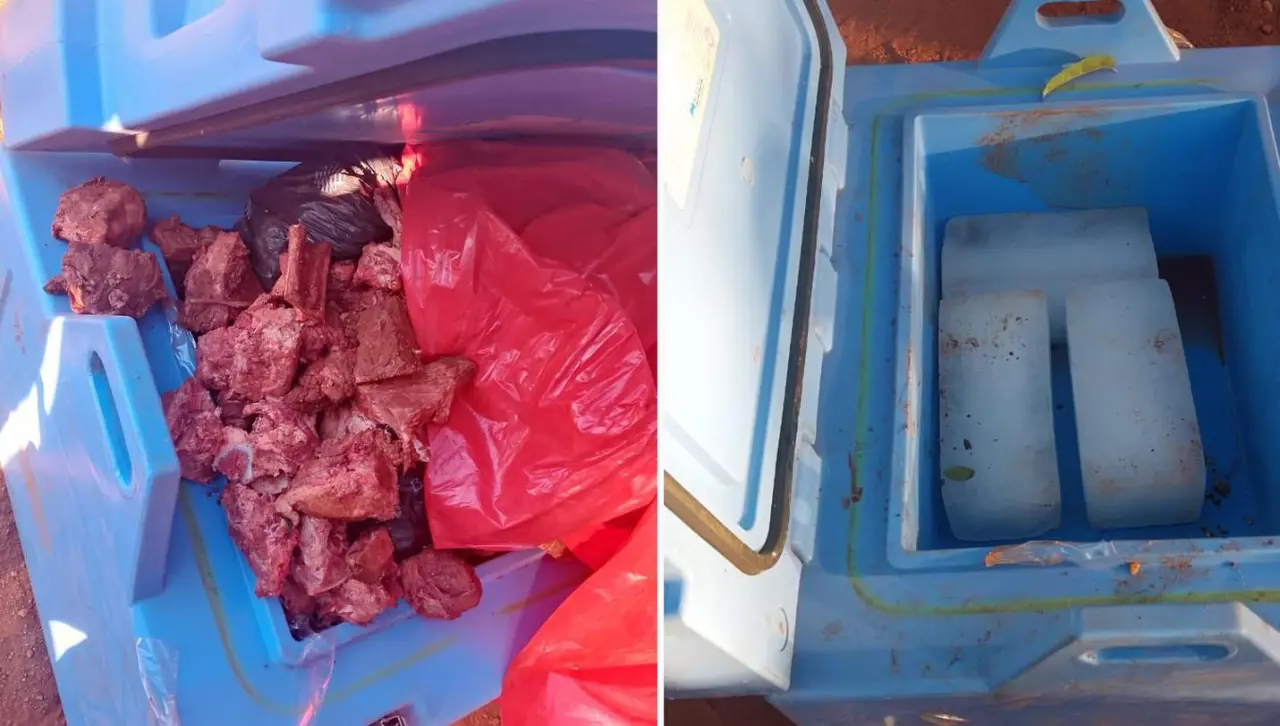 “Reemplazaron las vacunas con carne”: Denuncian a dos trabajadores que llevaban dosis contra el sarampión