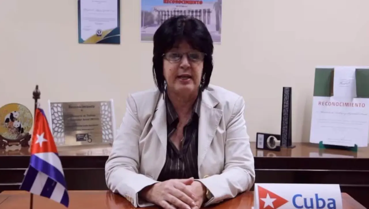 Video: Renuncia ministra que negó existencia de “mendigos” en Cuba; decía que eran disfrazados
