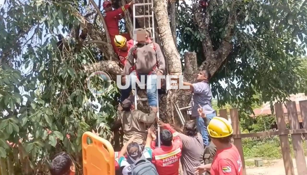 Joven queda en terapia intensiva luego que una rama cayera sobre él cuando podaba un árbol