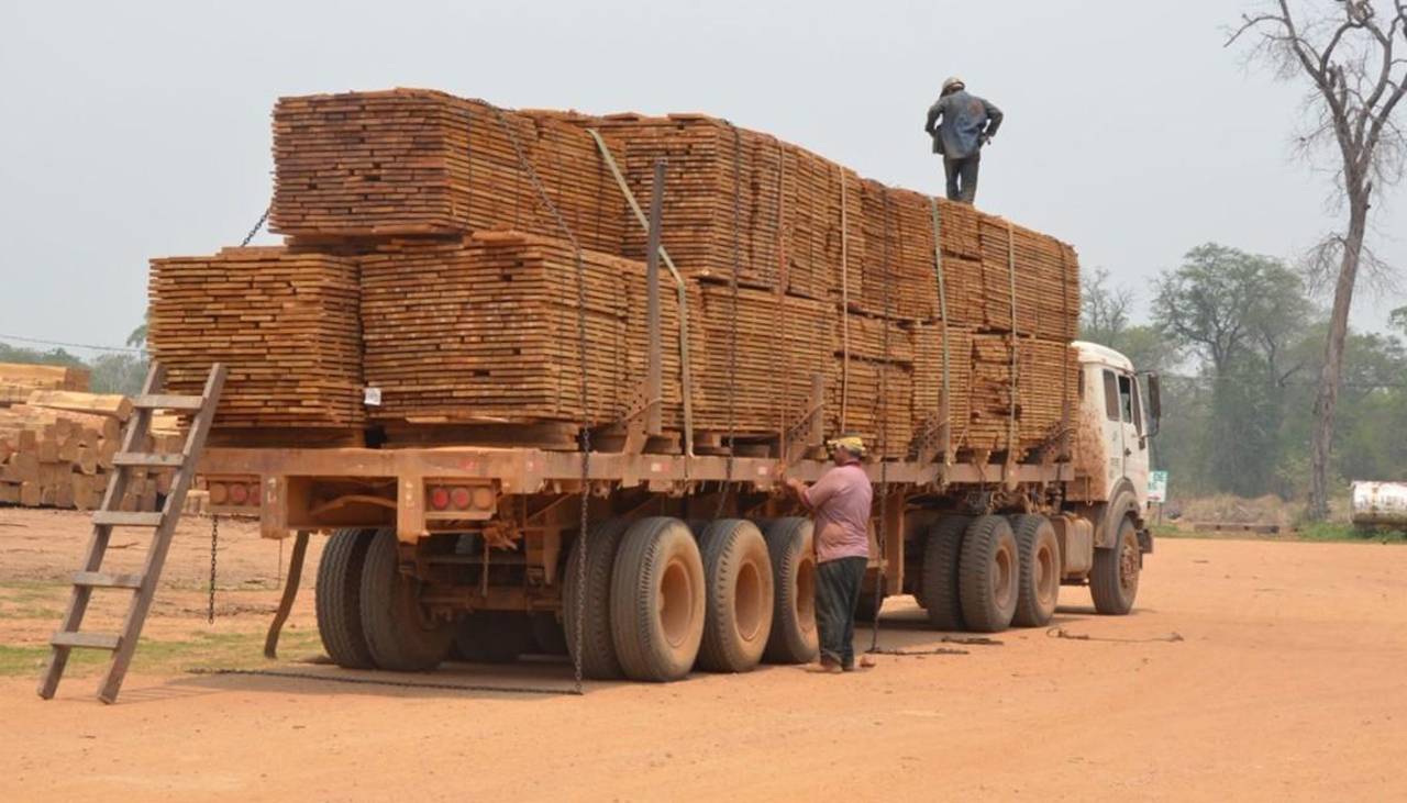 Exportaciones forestales caen por debajo de los niveles de la pandemia y el sector advierte una crisis histórica