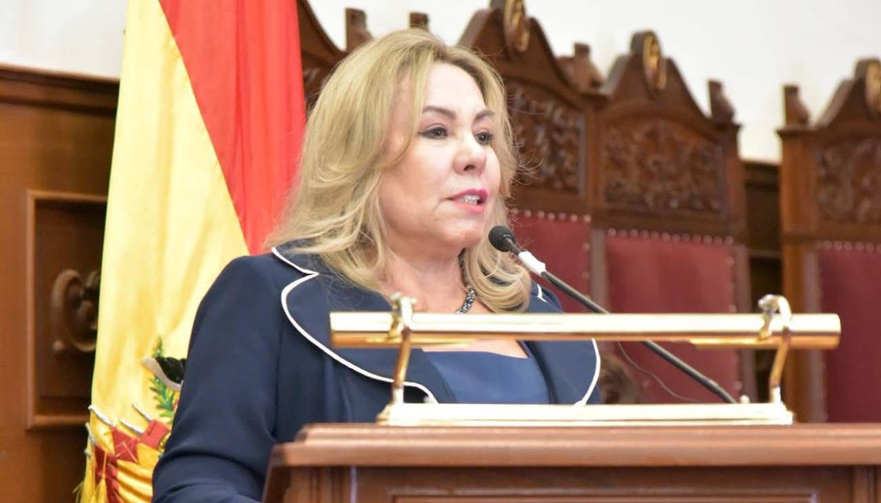 Plan contra avasallamientos incluye revisión predio por predio y desalojos con la Policía y la Fiscalía, dice decana del TSJ 