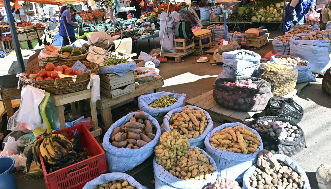 “Se ve una recuperación lenta de la economía”, dice analista