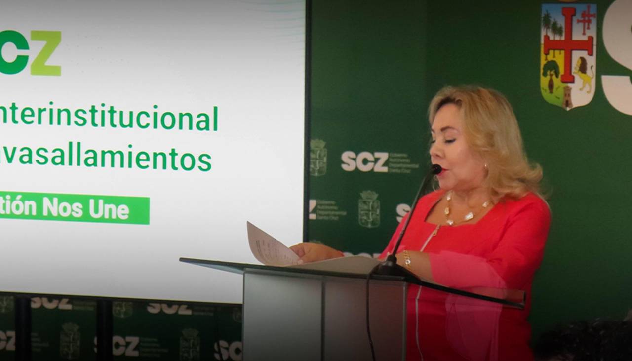 TSJ propone un plan de acciones conjuntas contra los avasallamientos