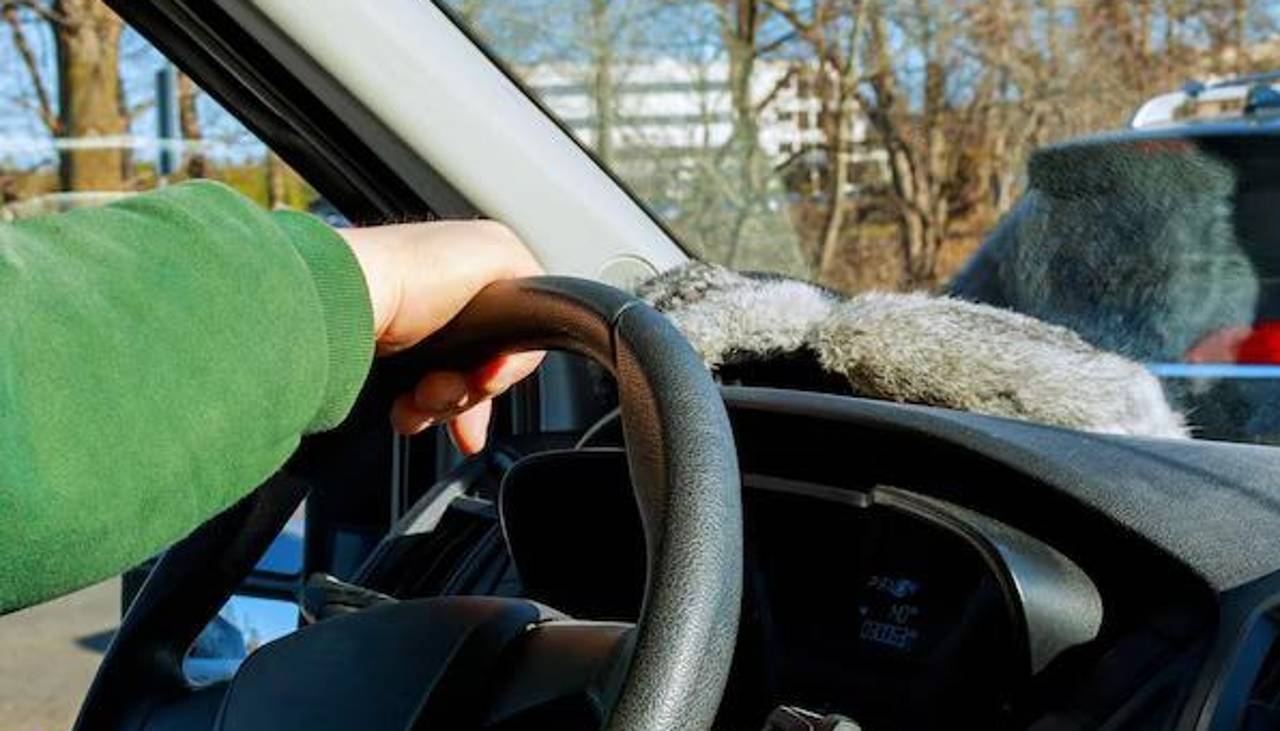 Taxista sobreviviente de atraco protagonizado por una pareja tiene daños en el cráneo y necesita varias cirugías