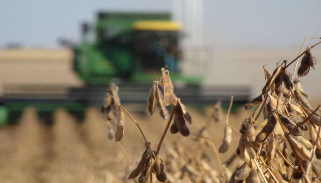 Biotecnología bajará costos de producción en el agro hasta en un 30%, señalan productores