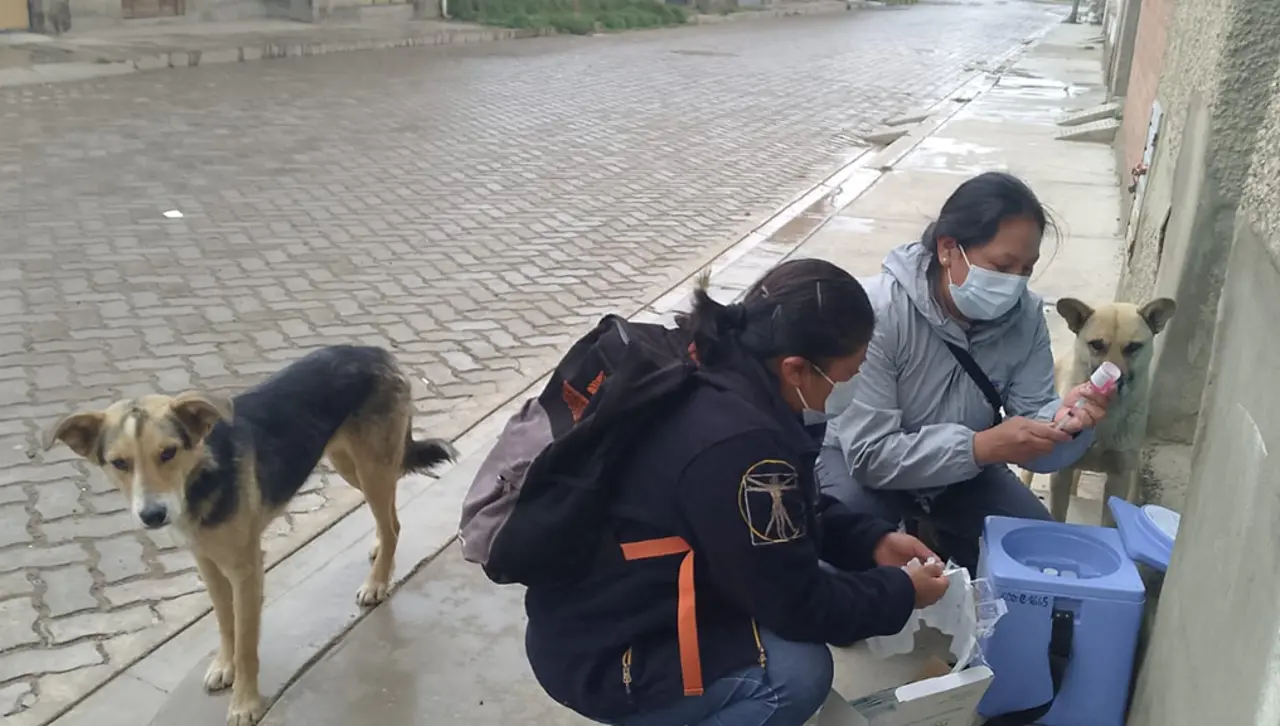 Arranca la vacunación contra la rabia con la meta de llegar a 3 millones de mascotas