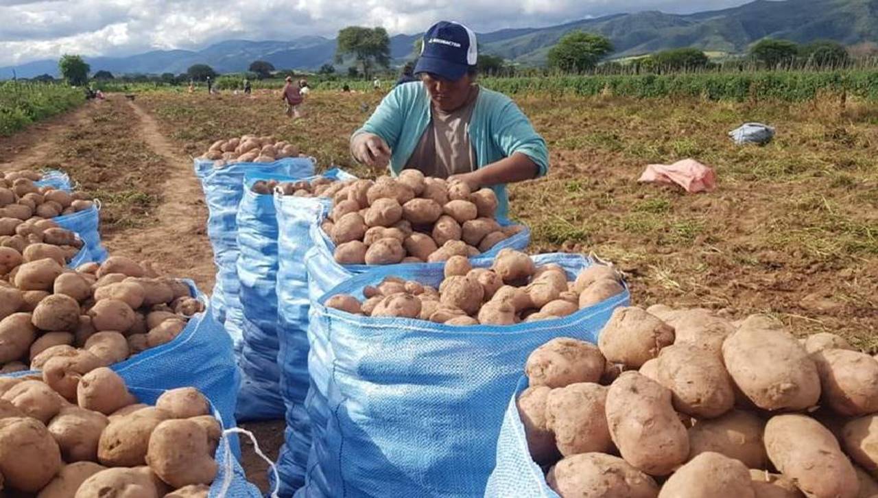Sector agropecuario, en alerta por los riesgos de la ola de frío en la producción de alimentos