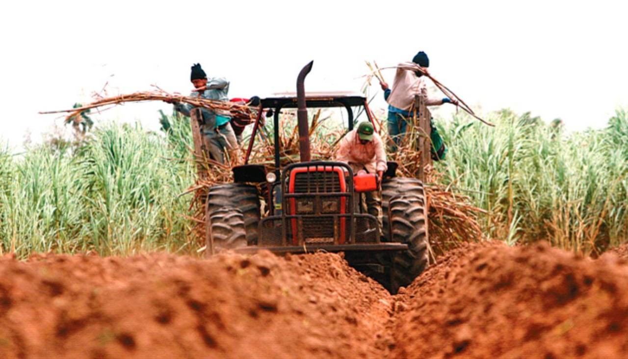 ¿Mejora en el suministro? Agro cruceño aguarda 72 millones de litros de diésel para julio
