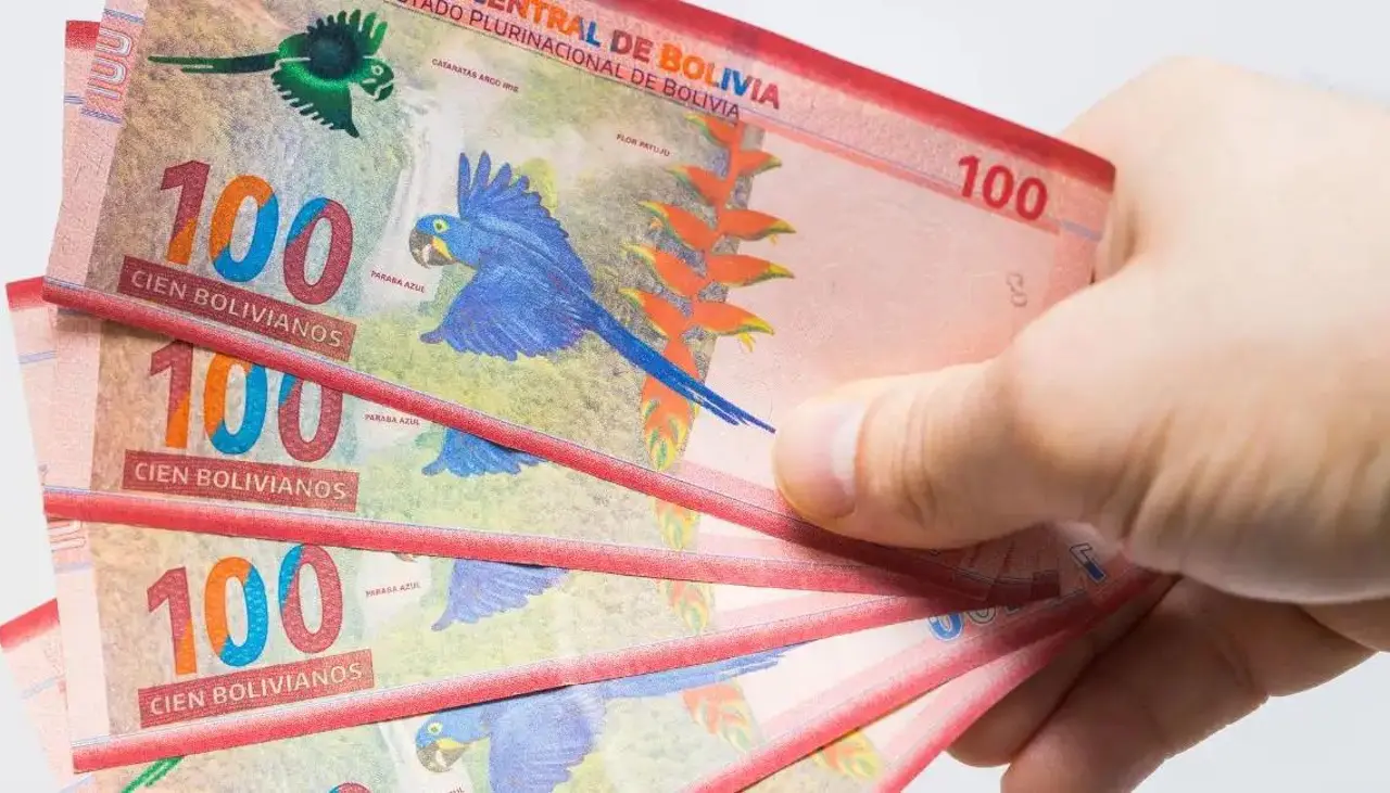 ¿El Bono PEPE tiene un segundo pago? Esto es lo que debes saber