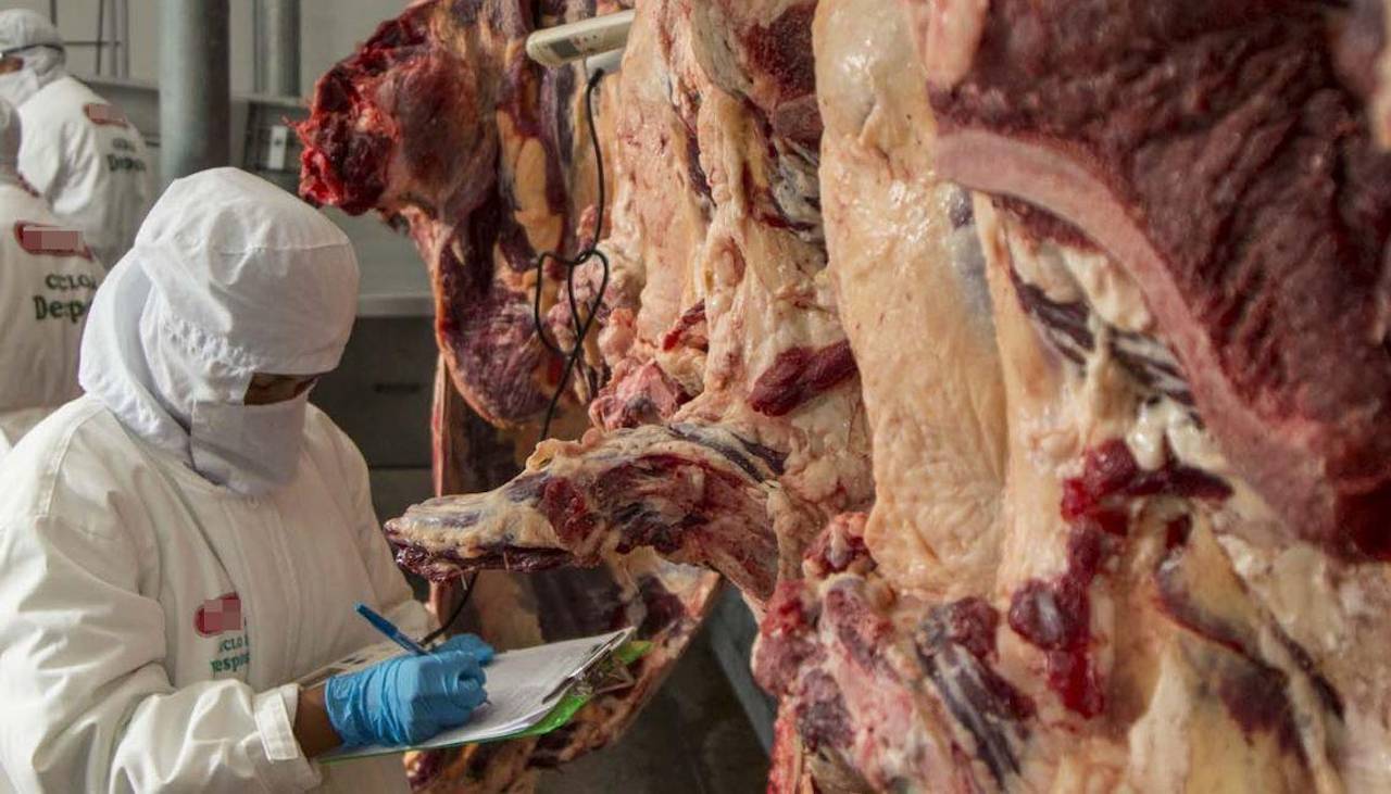 “Castiga a un sector clave”: Suman las voces que cuestionan la suspensión de exportar carne de res