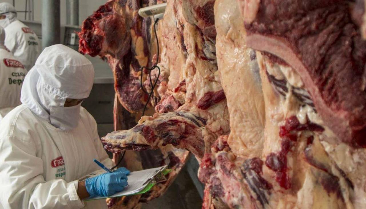 “Restringir exportaciones de carne no tiene sentido”, desde el IBCE observan acuerdo entre Gobierno y carniceros