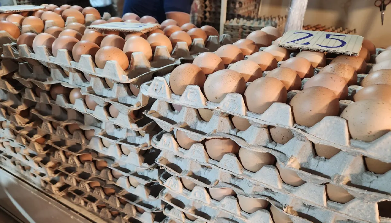 Pese a leve descenso, precio del queso y el huevo sigue alto en comparación con el año pasado