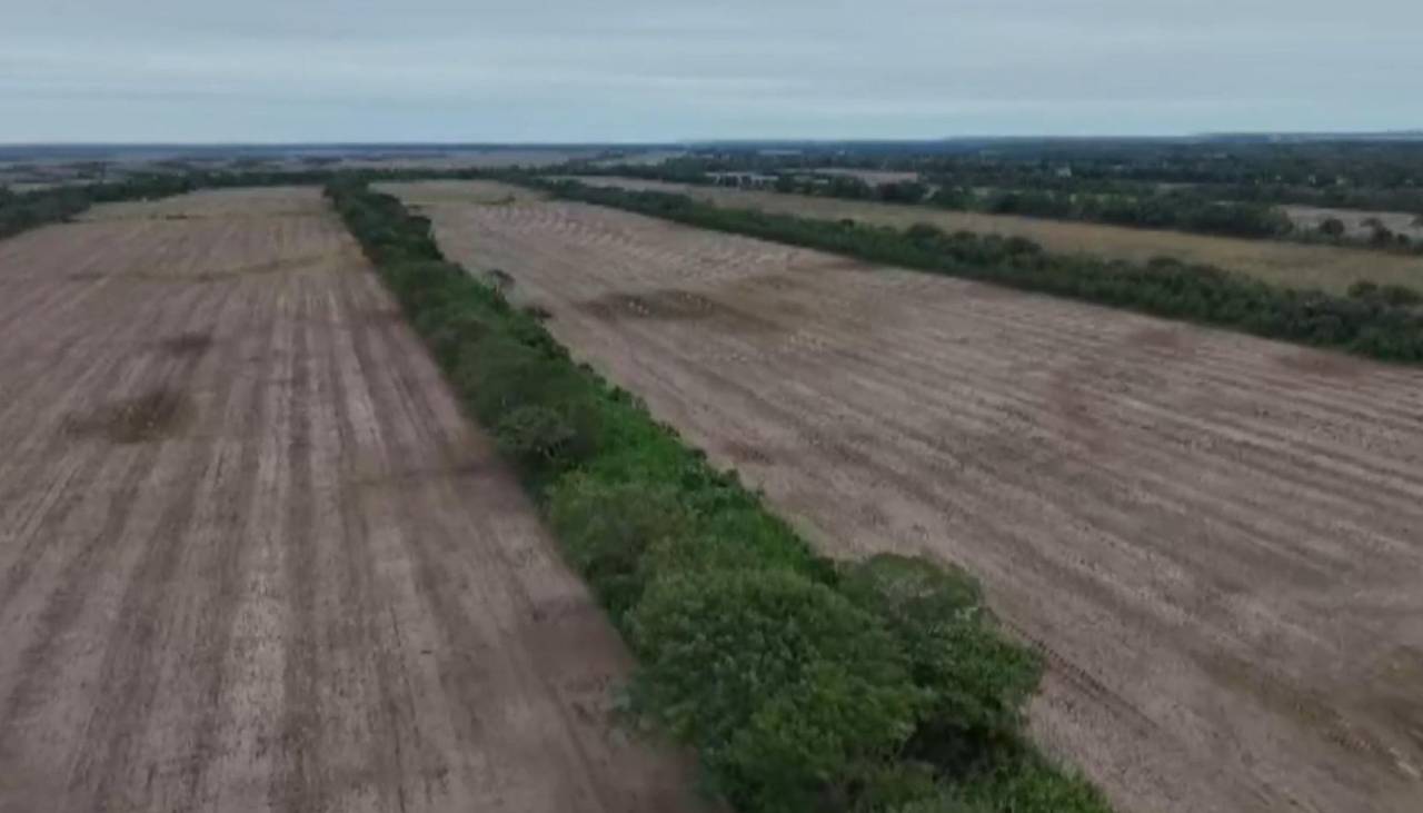 Santa Cruz: Sector productivo pide activar la Comisión Agraria para frenar los avasallamientos