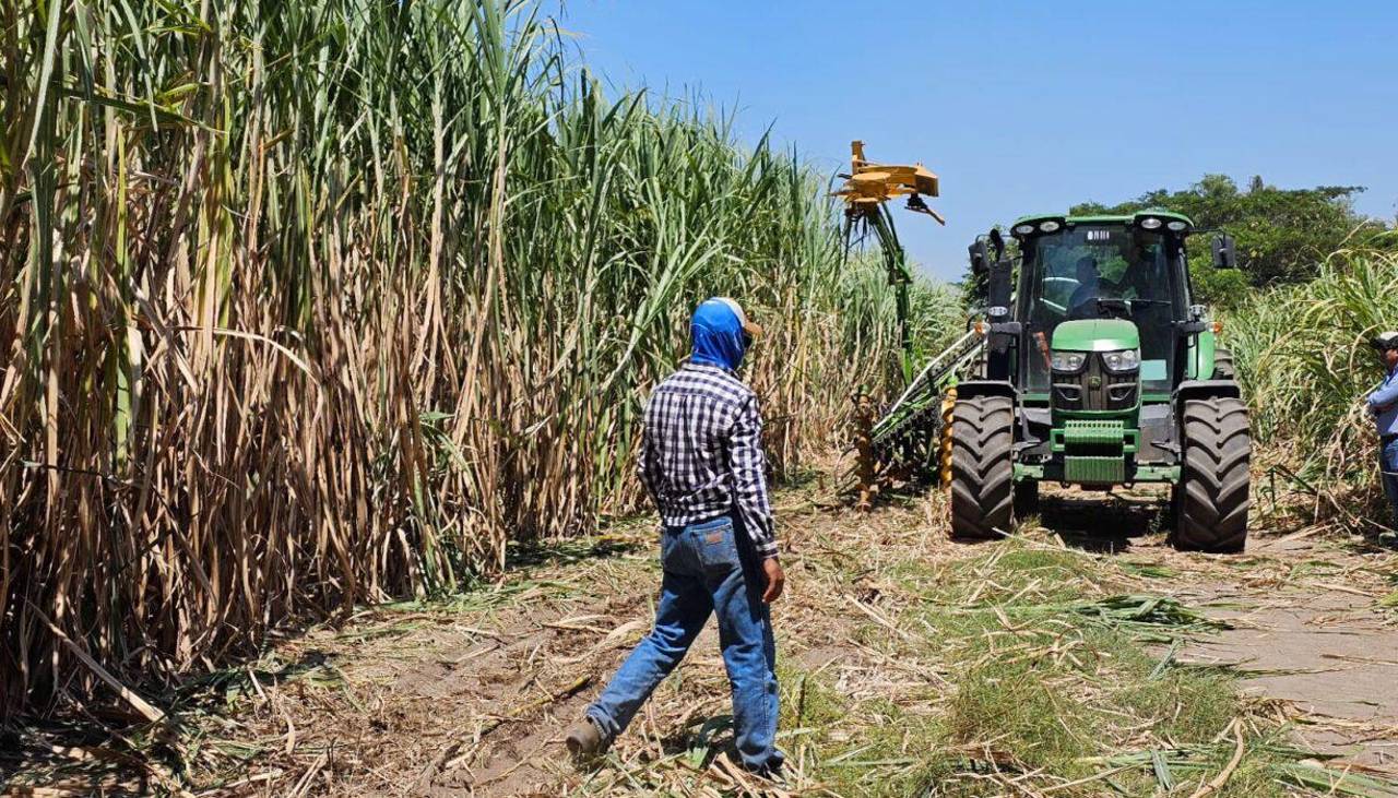 El exceso de humedad en el suelo retrasa la zafra cañera, según Concabol