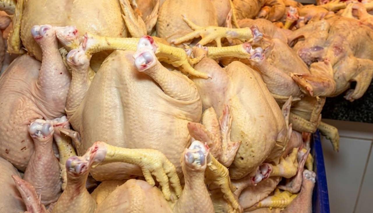 Baja el precio del pollo en Santa Cruz, ¿a cuánto se comercializa en los mercados?