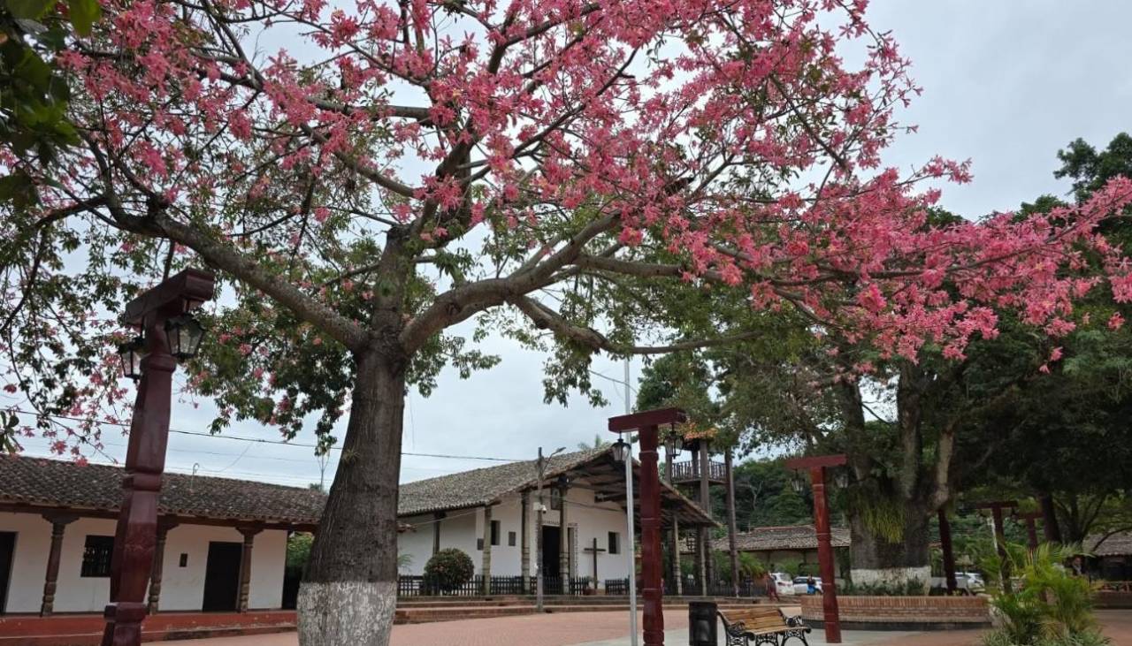 Todo listo para San Juan en Porongo, conozca todas las actividades preparadas para esta festividad