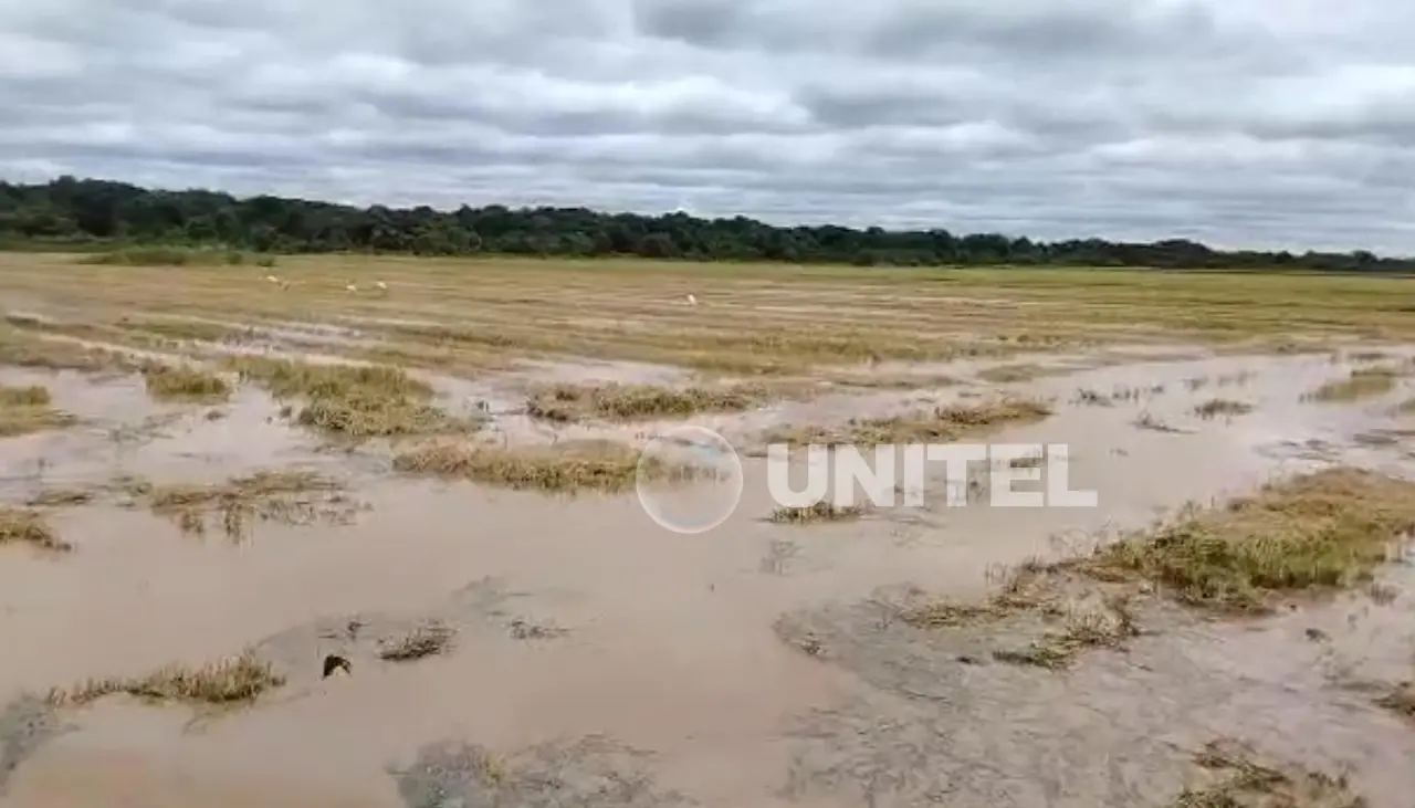 Soyeros reportan afectación del 10% de cultivos que están bajo el agua en el norte cruceño 