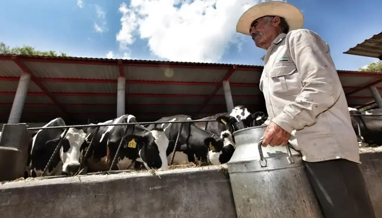 Lecheros de Cochabamba denuncian afectación por contrabando y franja de precios