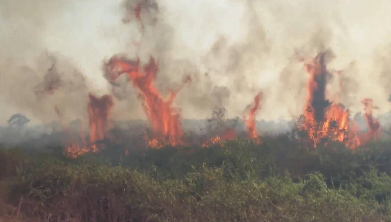 Santa Cruz registra 14 incendios forestales activos y la Gobernación activa alerta naranja
