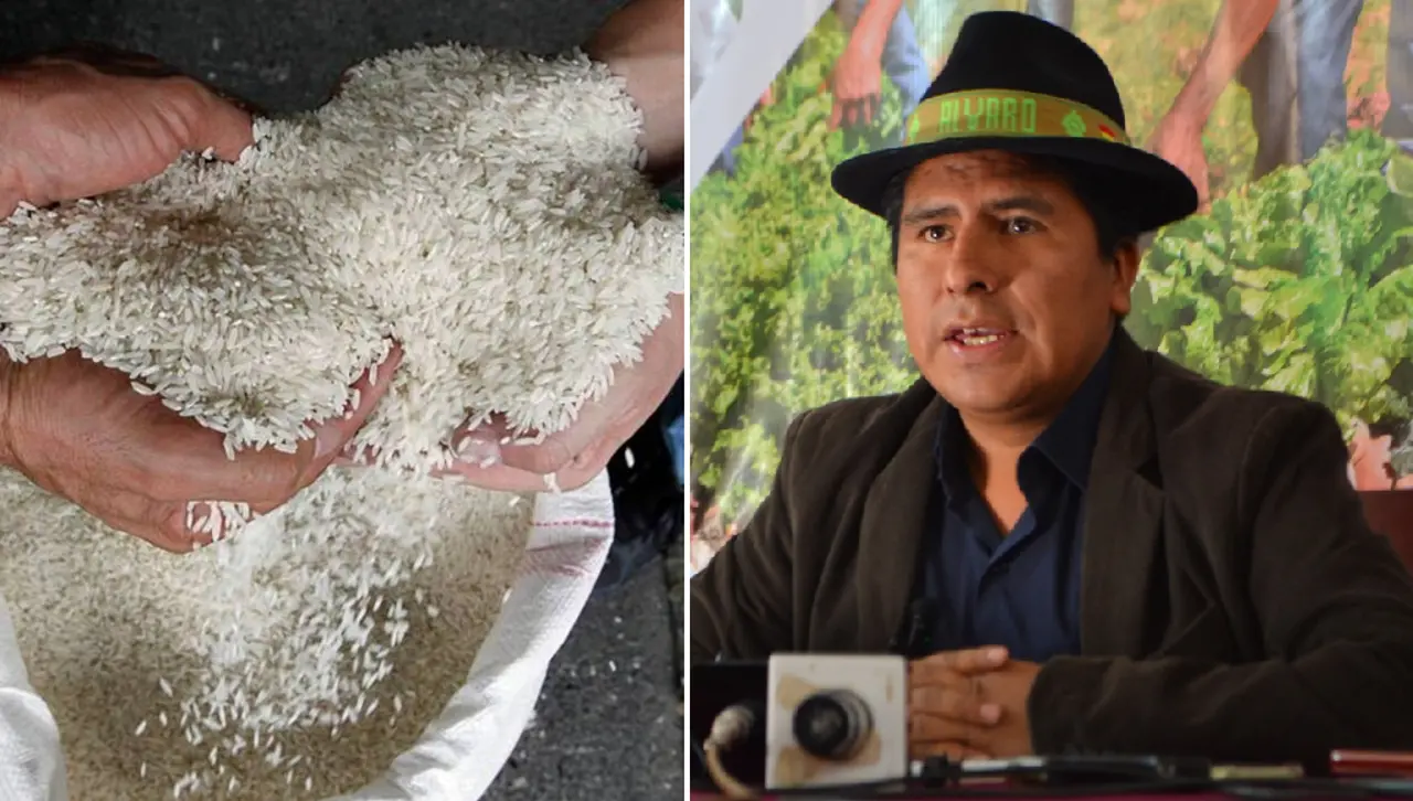 Viceministro evita responder por arroz de mala calidad importado por el Gobierno