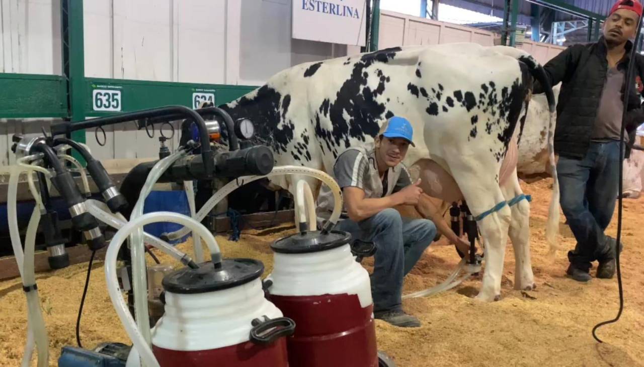 Arrancan las actividades pecuarias en Expocruz: Este domingo se conocerá al toro más pesado de la feria