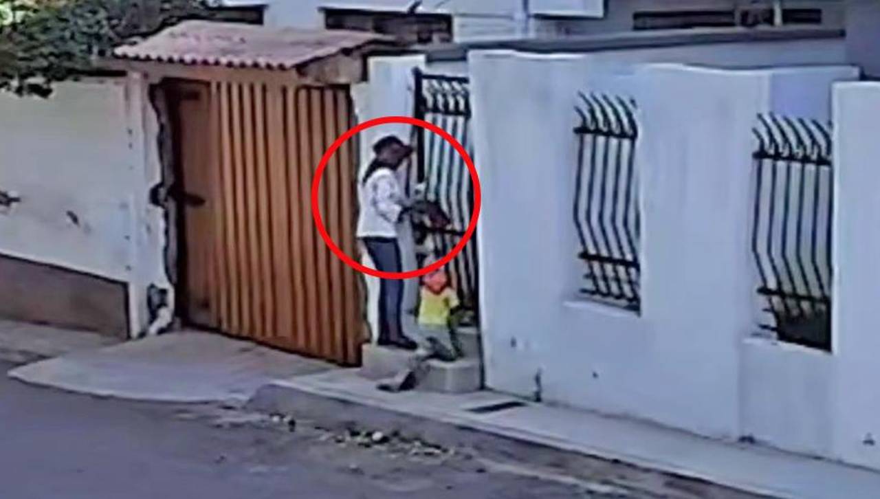 Cámaras captan a mujer robando a perros de distintas razas del interior de viviendas