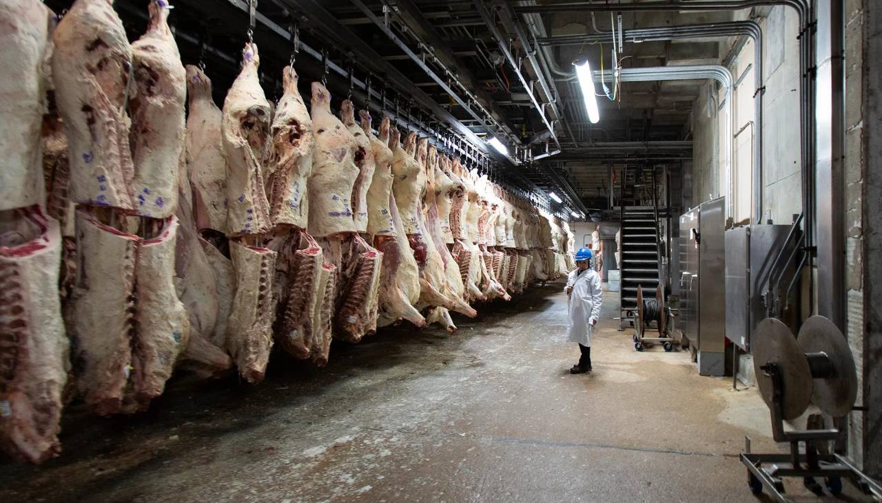 Canciller de Chile dice que la carne boliviana no solo puede llegar a su país, sino al resto del mundo