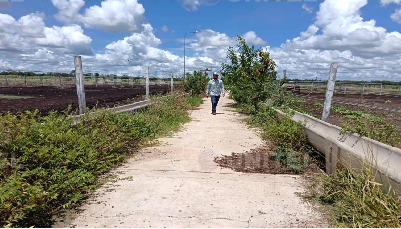 Corrales sin ganado y con malezas, así luce el centro de confinamiento del Gobierno en Santa Cruz, denuncian empresarios